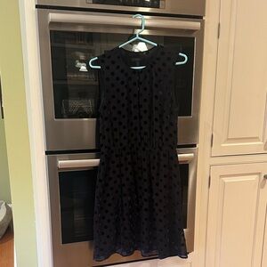 J. Crew Black Georgette Dress with Blue Velvet Polka Dots